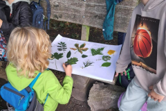 WhatsApp-Image-2025-11-04-at-19.49.3710