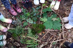 WhatsApp-Image-2025-11-04-at-19.49.3719