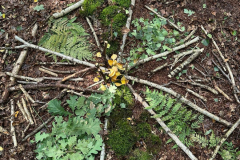 WhatsApp-Image-2025-11-04-at-19.49.3722