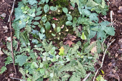 WhatsApp-Image-2025-11-04-at-19.49.3723