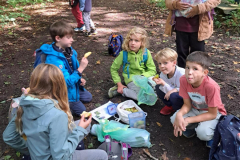 WhatsApp-Image-2025-11-04-at-19.49.3724