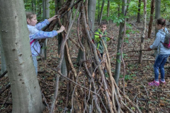 WhatsApp-Image-2025-11-04-at-19.49.3742