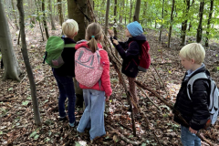 WhatsApp-Image-2025-11-04-at-19.49.3743