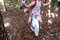 WhatsApp-Image-2025-11-04-at-19.49.3747