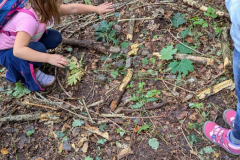 WhatsApp-Image-2025-11-04-at-19.49.3753